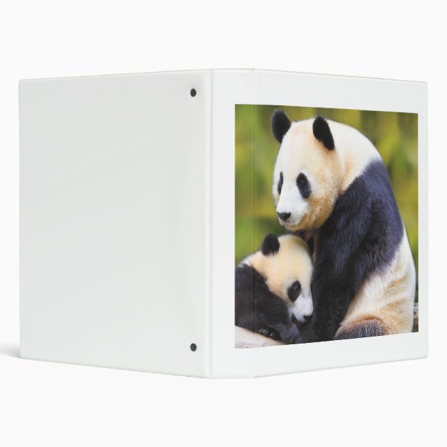 Super Cool Wildlife Binder (Background)