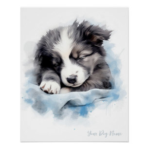 Super cute angel sleeping puppy Border Collie dog  Poster