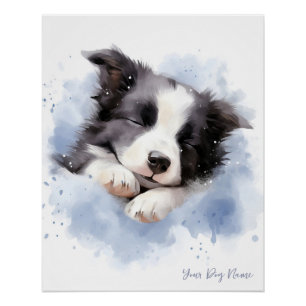 Super cute angel sleeping puppy Border Collie dog Poster