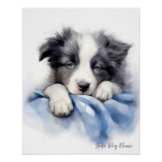 Super cute angel sleeping puppy Border Collie dog  Poster