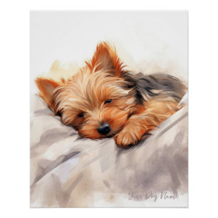 Super cute angel sleeping puppy Yorkshire Terrier  Poster