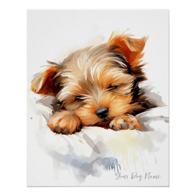 Super cute angel sleeping puppy Yorkshire Terrier  Poster (Front)