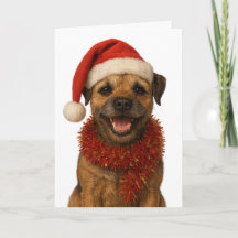 Super cute Border Terrier Christmas card