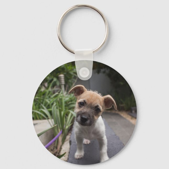 Super Cute Border Terrier puppy Keychain (Front)