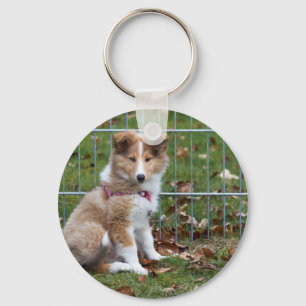 Super Cute Collie Keychain