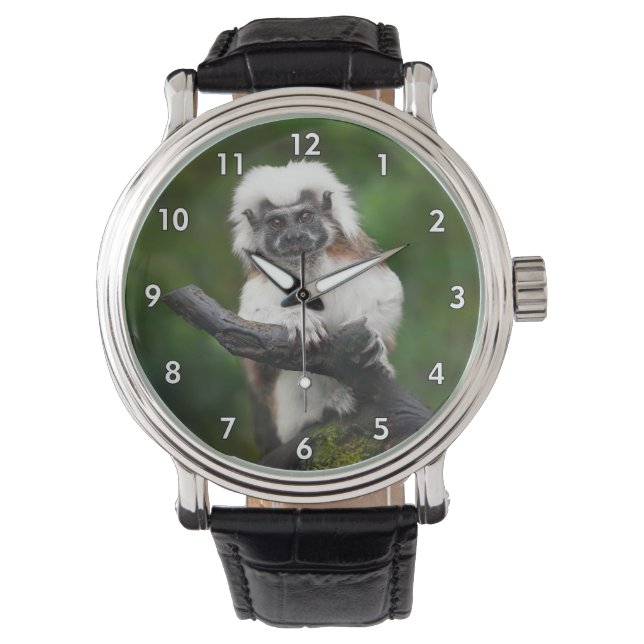 Super Cute Cotton Top Tamarin Primate Watch (Front)