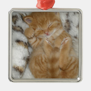 Super Cute Ginger Sleeping Kitten Metal Ornament