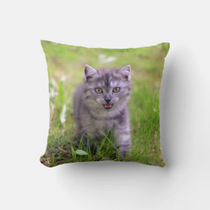 Super Cute Grey Kitten Photo Design Throw Pillow