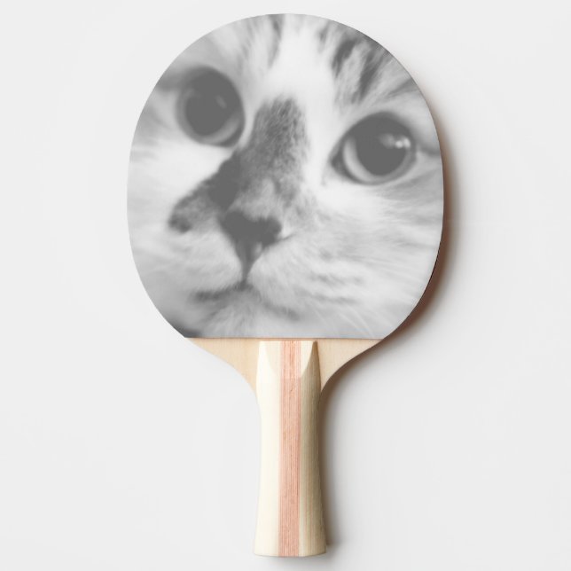 SUPER CUTE Kitten Cat Portrait Ping Pong Paddle (Front)