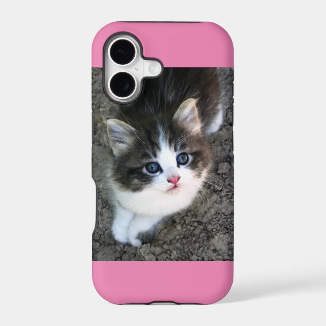 SUPER CUTE Kitten Customizable (Back)