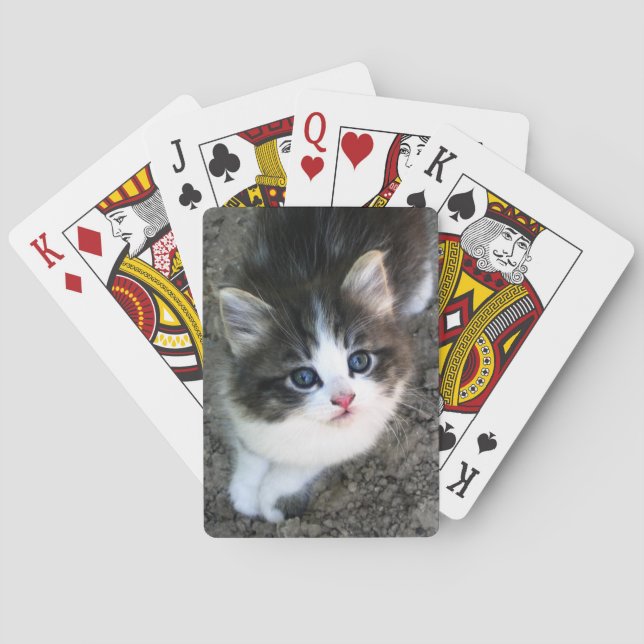 SUPER CUTE Kitten Playing Cards (Back)
