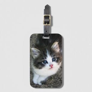 SUPER CUTE Kitten Portrait Luggage Tag