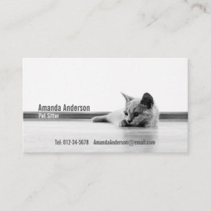 SUPER CUTE Kitten Portrait Photograph Business Card