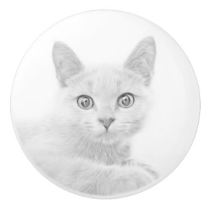 SUPER CUTE Kitten Portrait Photograph Ceramic Knob