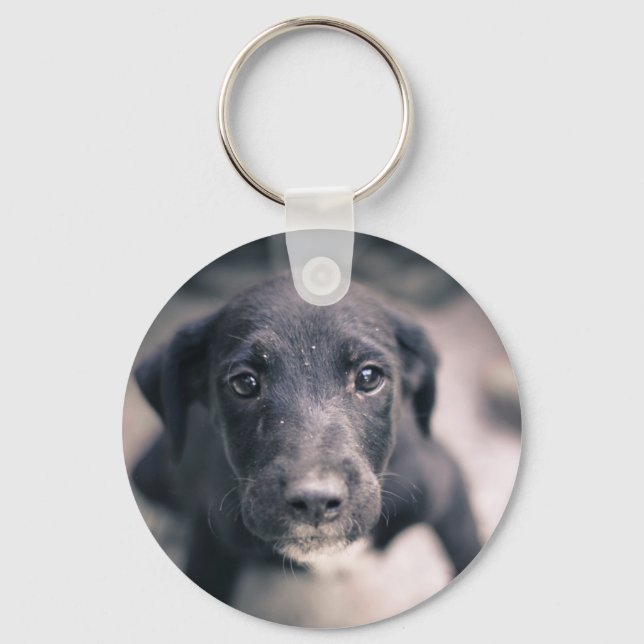 Super Cute Puppy Dog Keychain (Front)