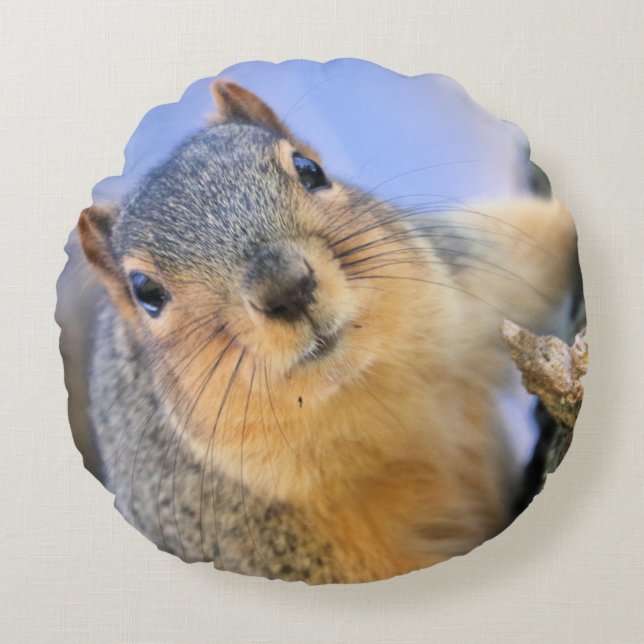 Super cute round pillow (Front)