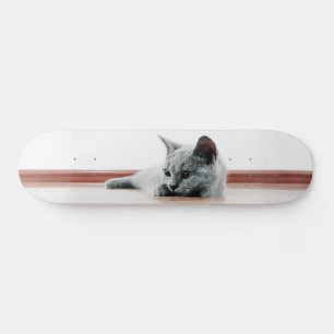 Super Cute Scottish Fold Kitten Cat Skateboard