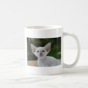 Super Cute Siamese Kitten Coffee Mug
