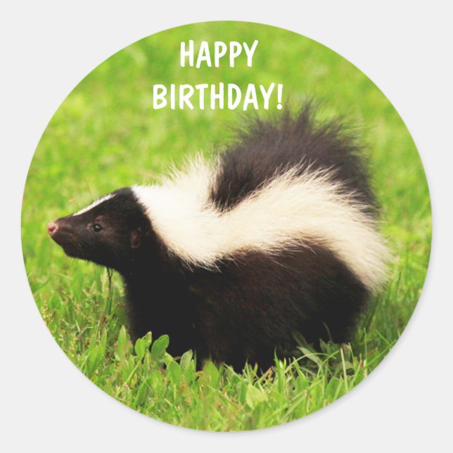 Super Cute Skunk Birthday Classic Round Sticker (Front)