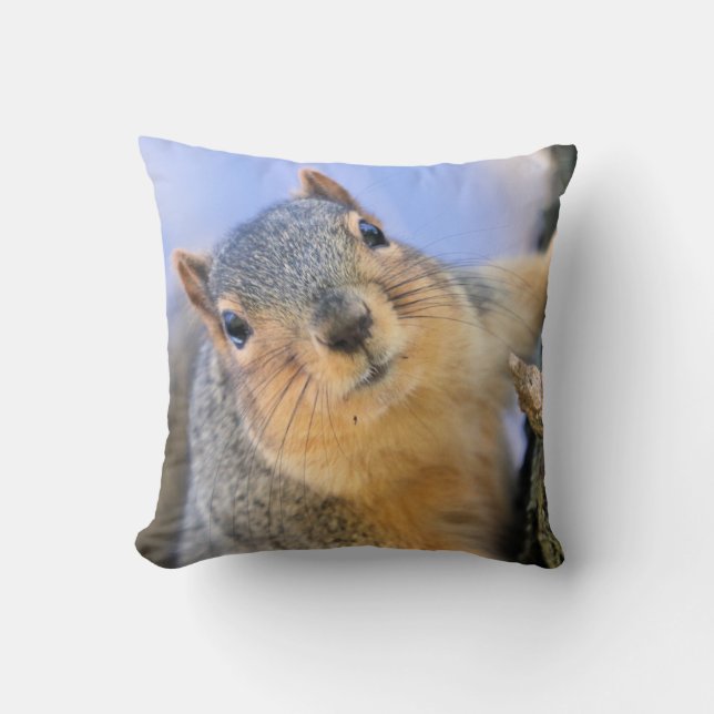 Super cute throw pillow (Front)