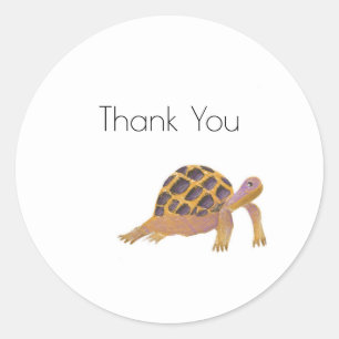 Super Cute Tortoise Sticker 