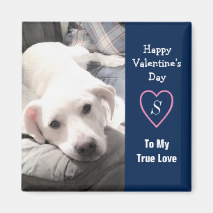 Super Cute Valentine's Day Navy Blue Dog Magnet