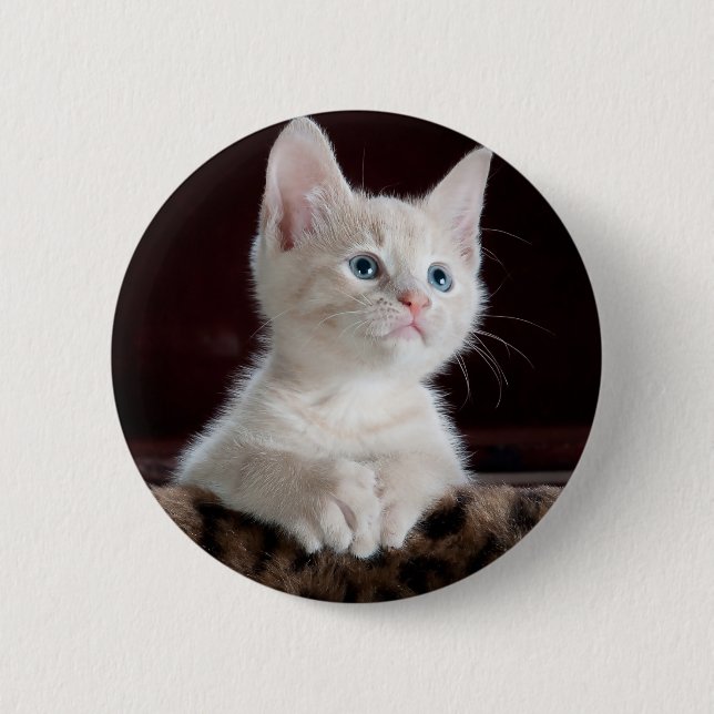 Super Cute White Kitten 2 Inch Round Button (Front)