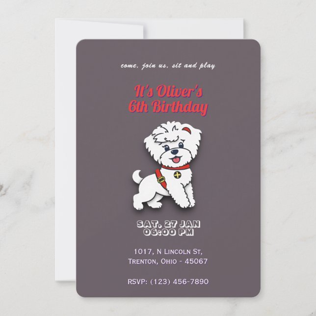 Super Dog Birthday on Chocolate Colour Personalize Invitation (Front)