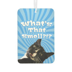 Super Funny Cat Car Air Freshener