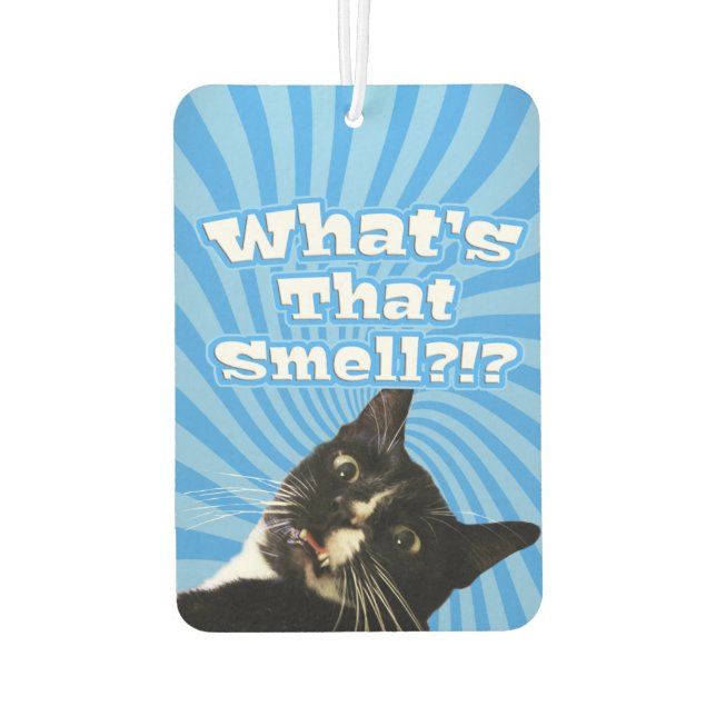 Super Funny Cat Car Air Freshener (Back)