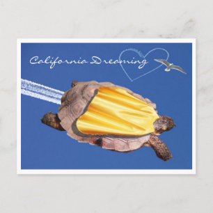 Super! Gammie the California Desert Tortoise Postcard