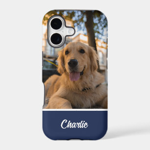 Super Golden Retriever