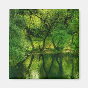 Super Green River / Lake Trees Reflection Magnet