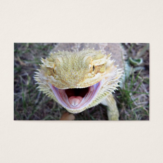 Super Happy Bearded Dragon (Front)