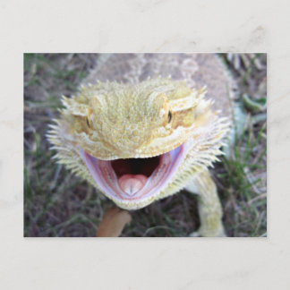 Super Happy Bearded Dragon Postcard