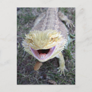 Super Happy Bearded Dragon Postcard