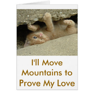 Super Hero Kitty Cat