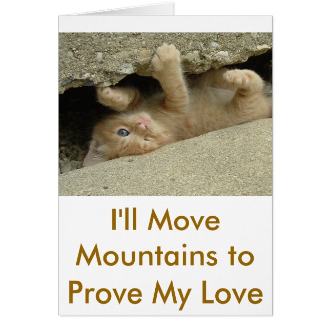 Super Hero Kitty Cat (Front)