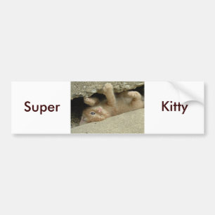 Super Hero Kitty Cat Bumper Sticker