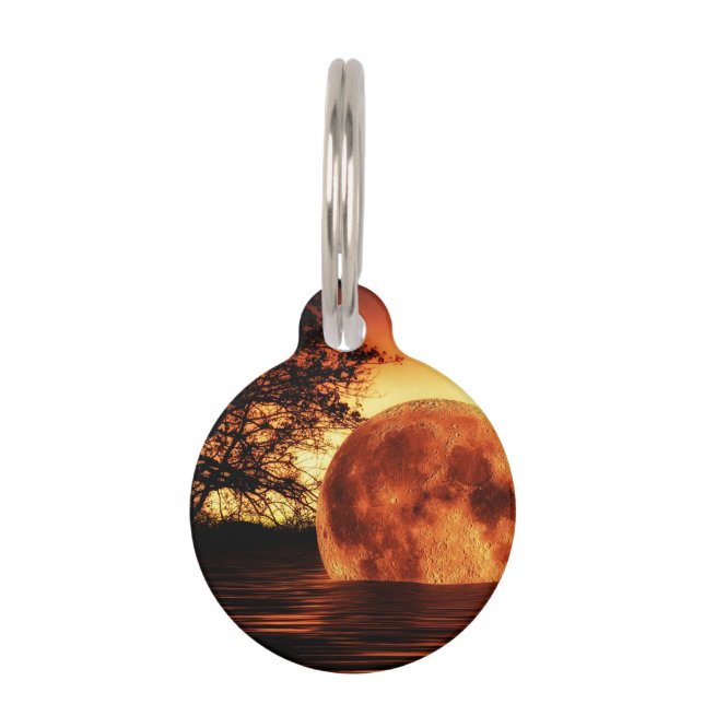 Super Moon Art Pet Tag (Front)