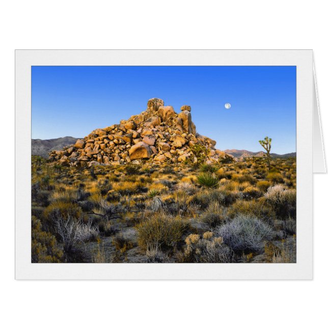 " Super Moon Morning " (Devant horizontal)