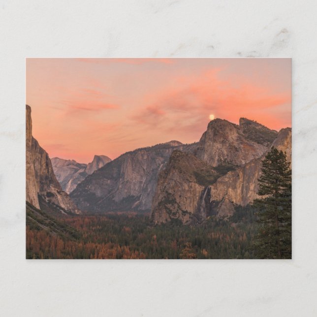 Super Moon Rises over Cathedral Rocks Postcard (Front)