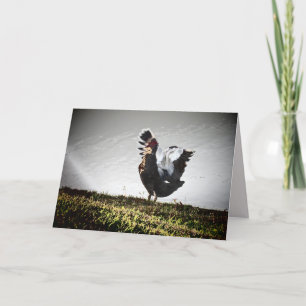 Super Muscovy Duck Greeting Card