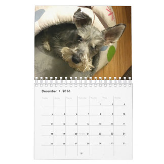 Super Owen 2016 Calendar