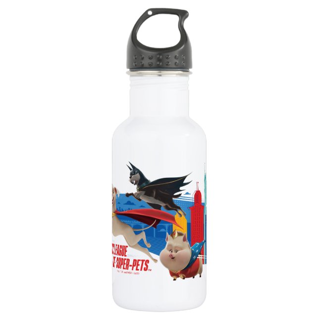 Super-Pets Patrolling Metropolis 532 Ml Water Bottle (Front)