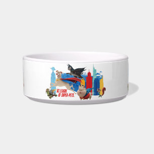 Super-Pets Patrolling Metropolis Bowl