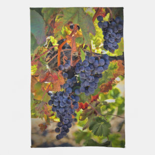 Super Pretty Wine Vineyard Themed Kitchen Towel