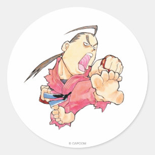 Super Puzzle Fighter II Turbo Dan 2 Classic Round Sticker