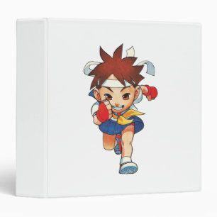 Super Puzzle Fighter II Turbo Sakura Binder