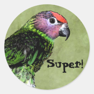SUPER reward sticker with Lorikeet bird